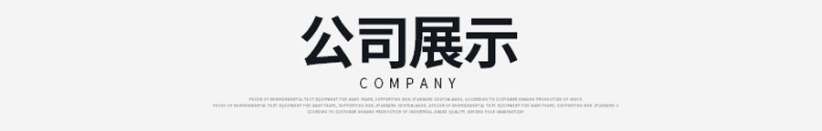 電(dian)熱恒溫鼓風幹燥箱(250度)